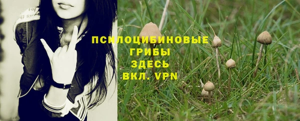 a pvp Алексин