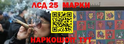 соль ск Можга