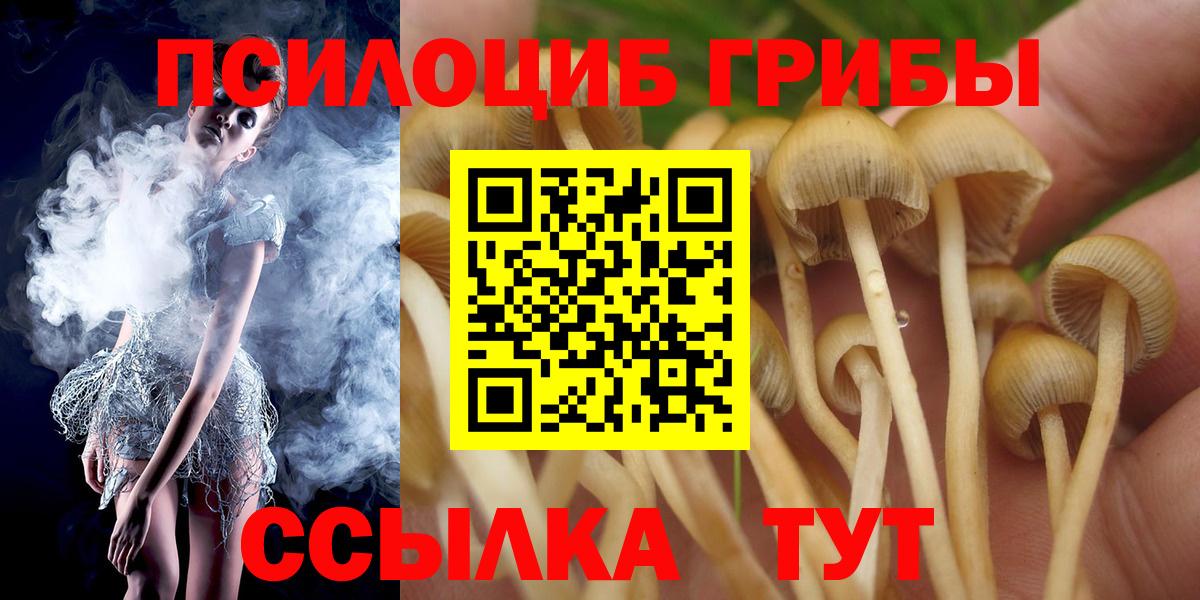 Галлюциногенные грибы мицелий Тула